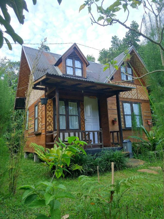 Canyon Jungle Stay Bukittinggi Exteriér fotografie