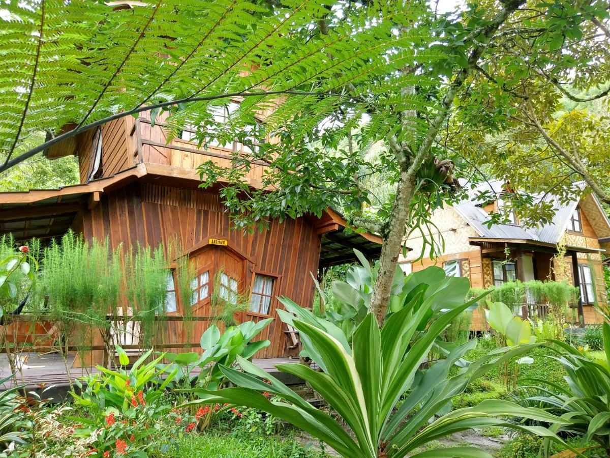 Canyon Jungle Stay Bukittinggi Exteriér fotografie