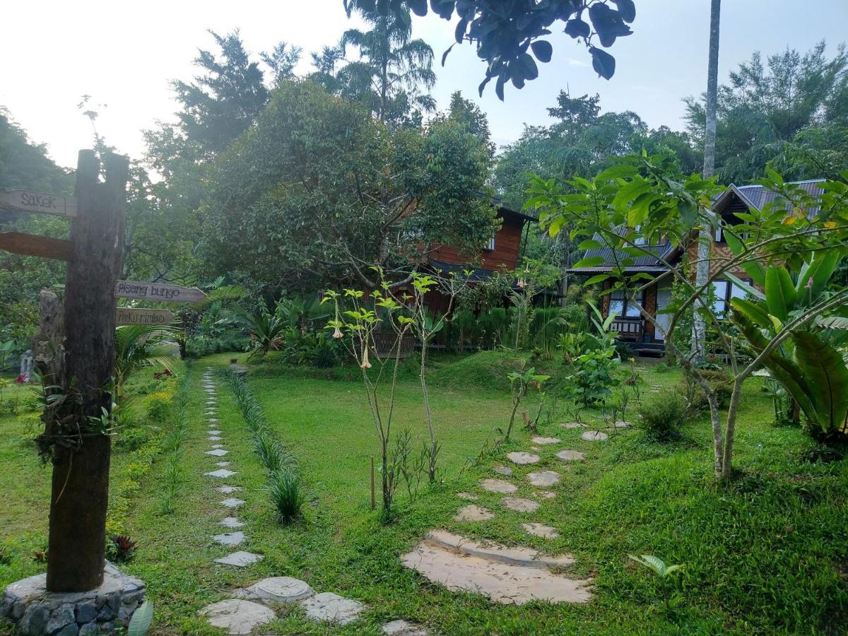 Canyon Jungle Stay Bukittinggi Exteriér fotografie