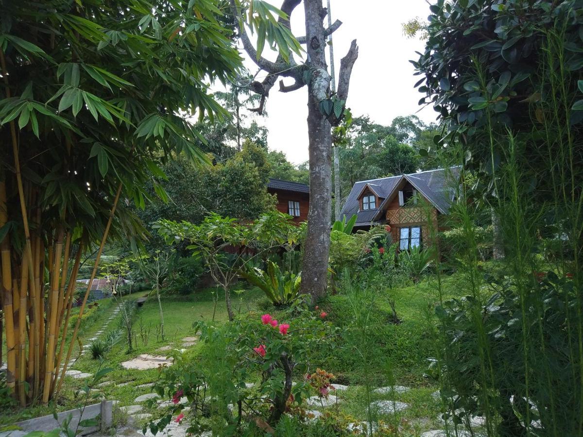 Canyon Jungle Stay Bukittinggi Exteriér fotografie