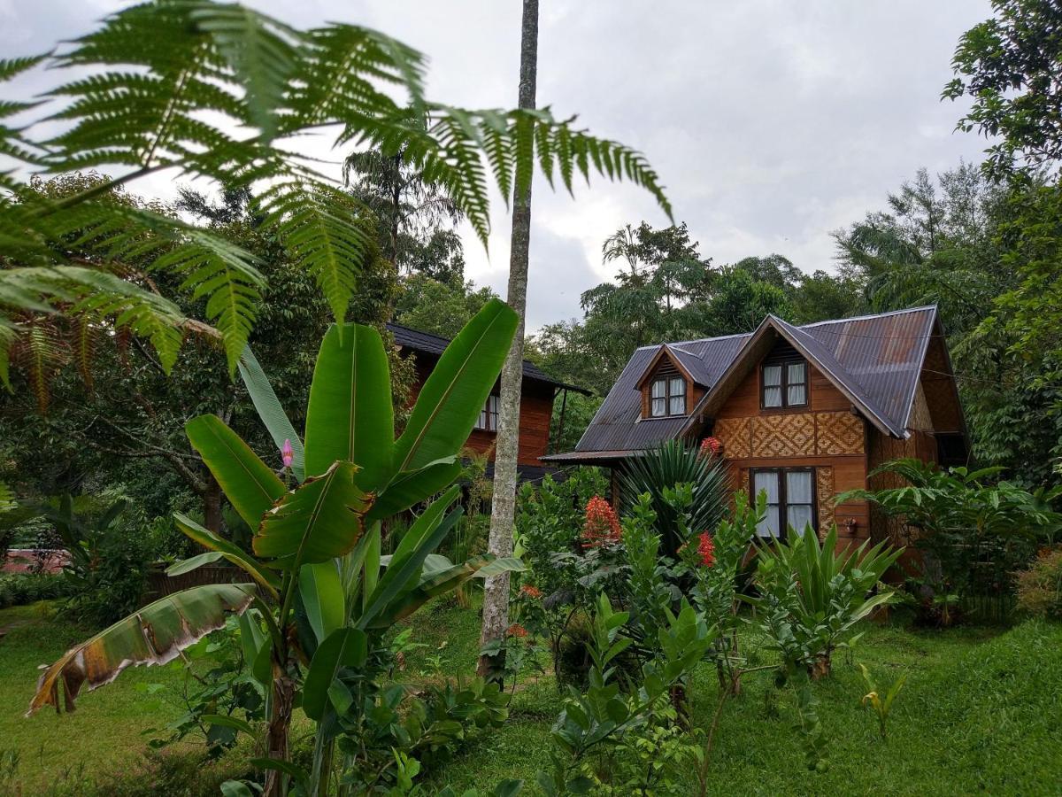 Canyon Jungle Stay Bukittinggi Exteriér fotografie