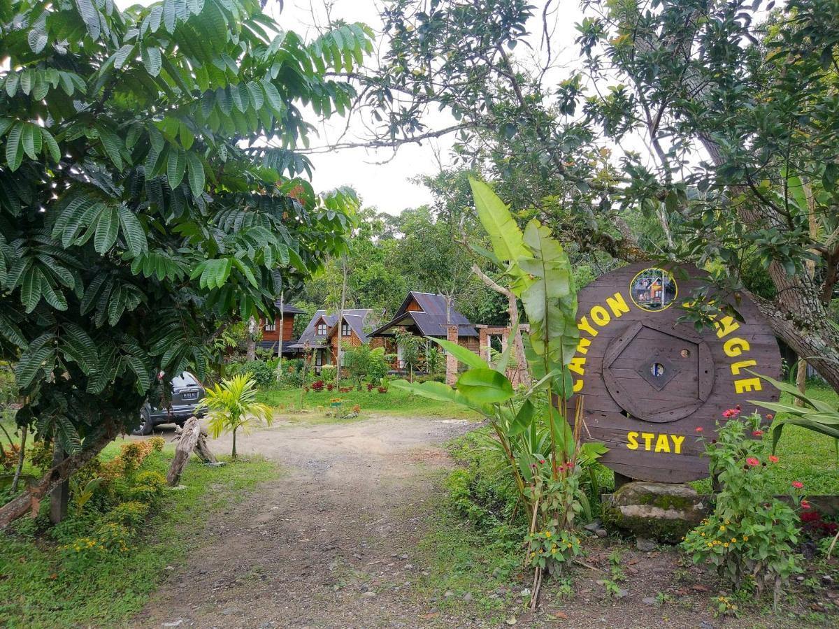 Canyon Jungle Stay Bukittinggi Exteriér fotografie