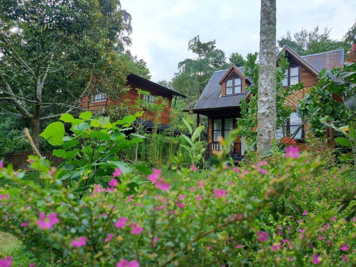Canyon Jungle Stay Bukittinggi Exteriér fotografie