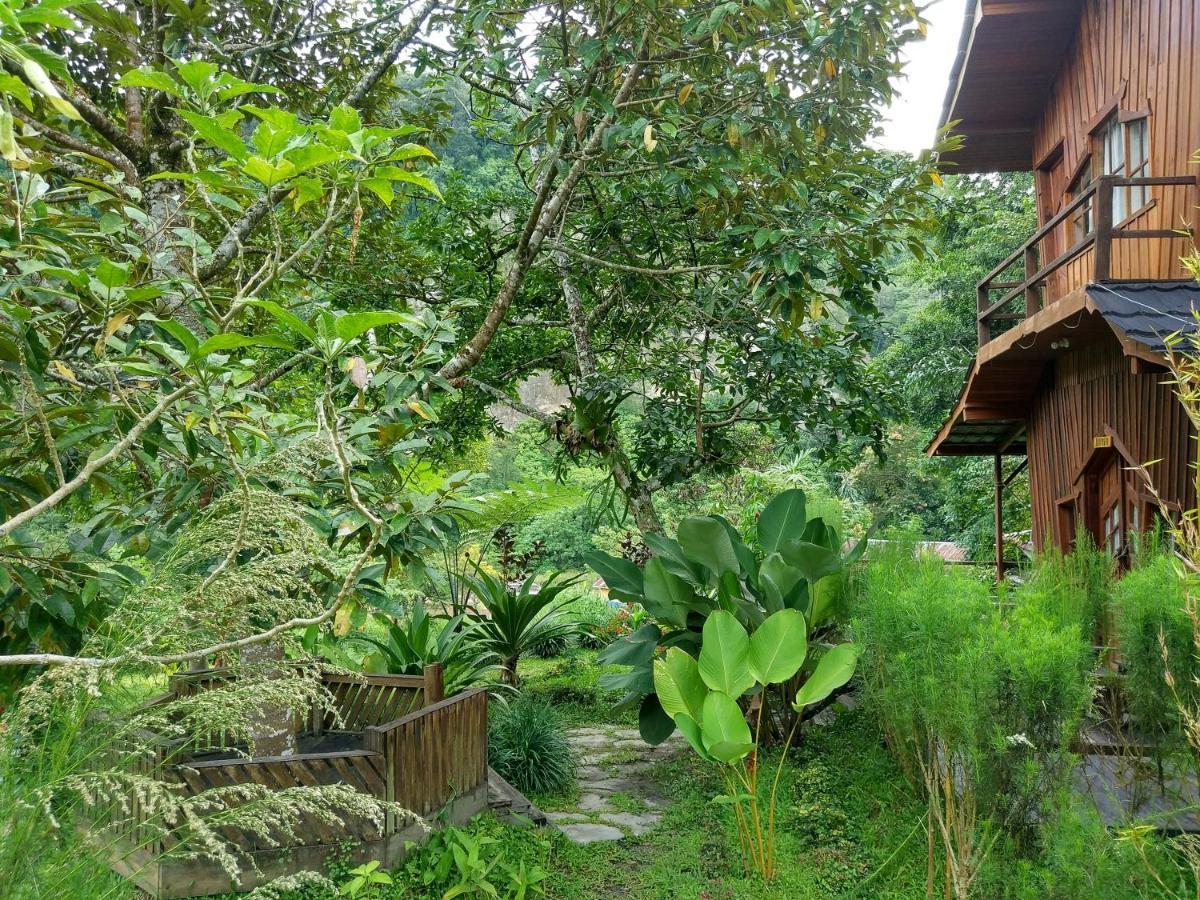 Canyon Jungle Stay Bukittinggi Exteriér fotografie