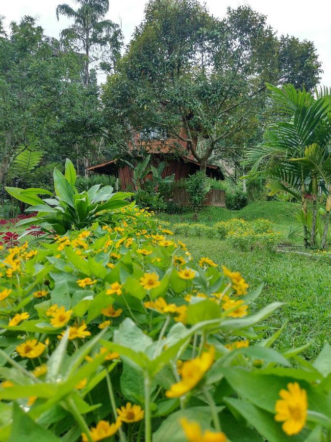 Canyon Jungle Stay Bukittinggi Exteriér fotografie