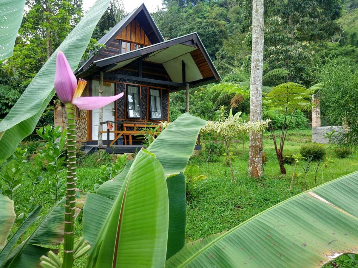 Canyon Jungle Stay Bukittinggi Exteriér fotografie