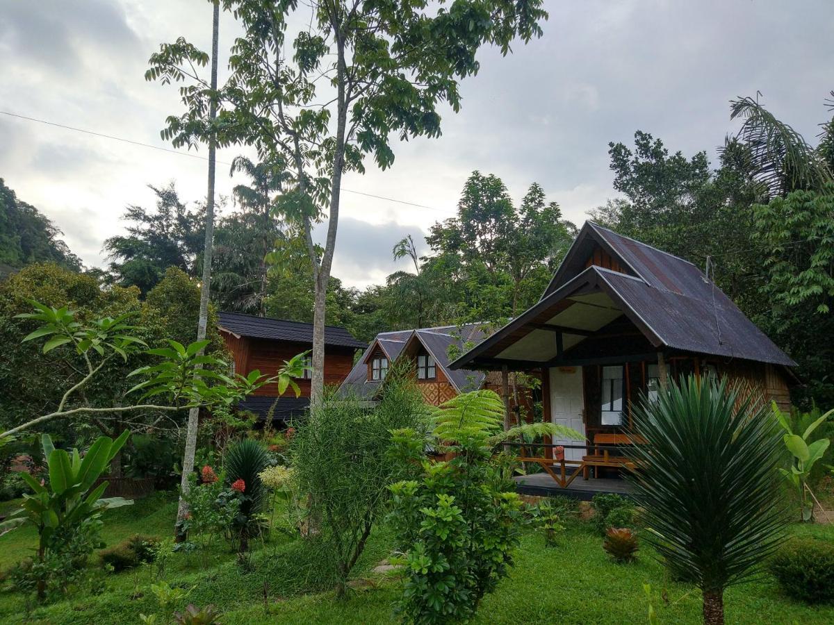 Canyon Jungle Stay Bukittinggi Exteriér fotografie