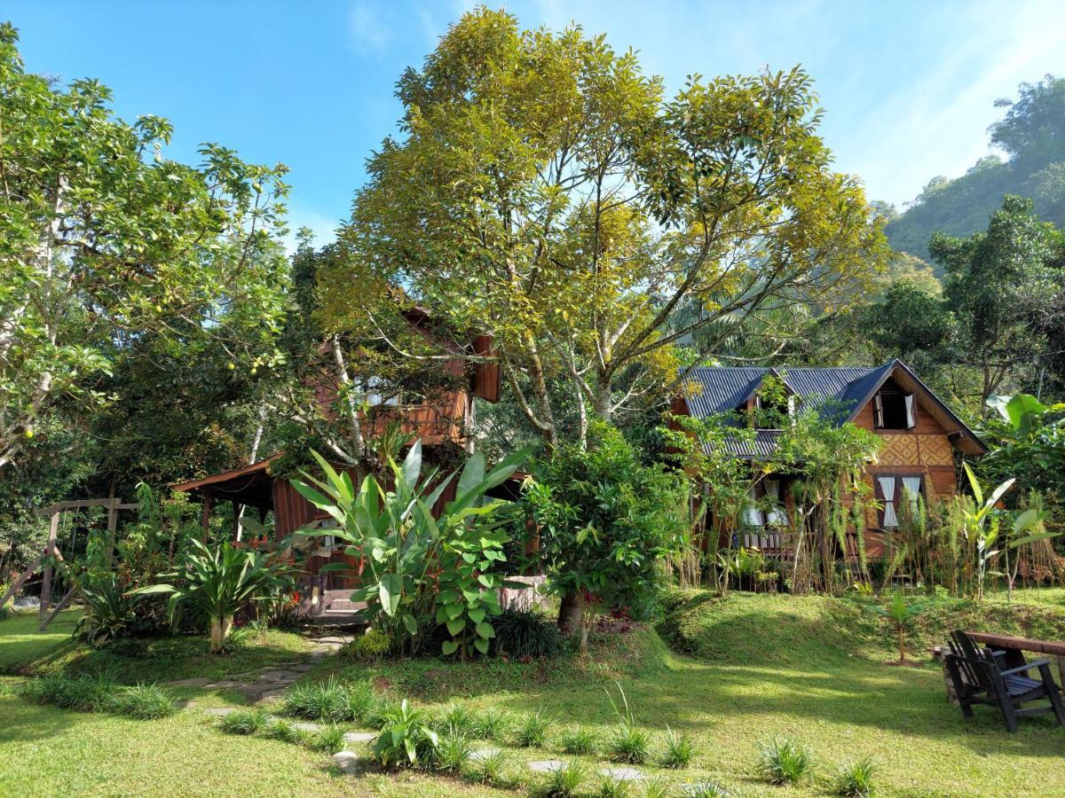 Canyon Jungle Stay Bukittinggi Exteriér fotografie