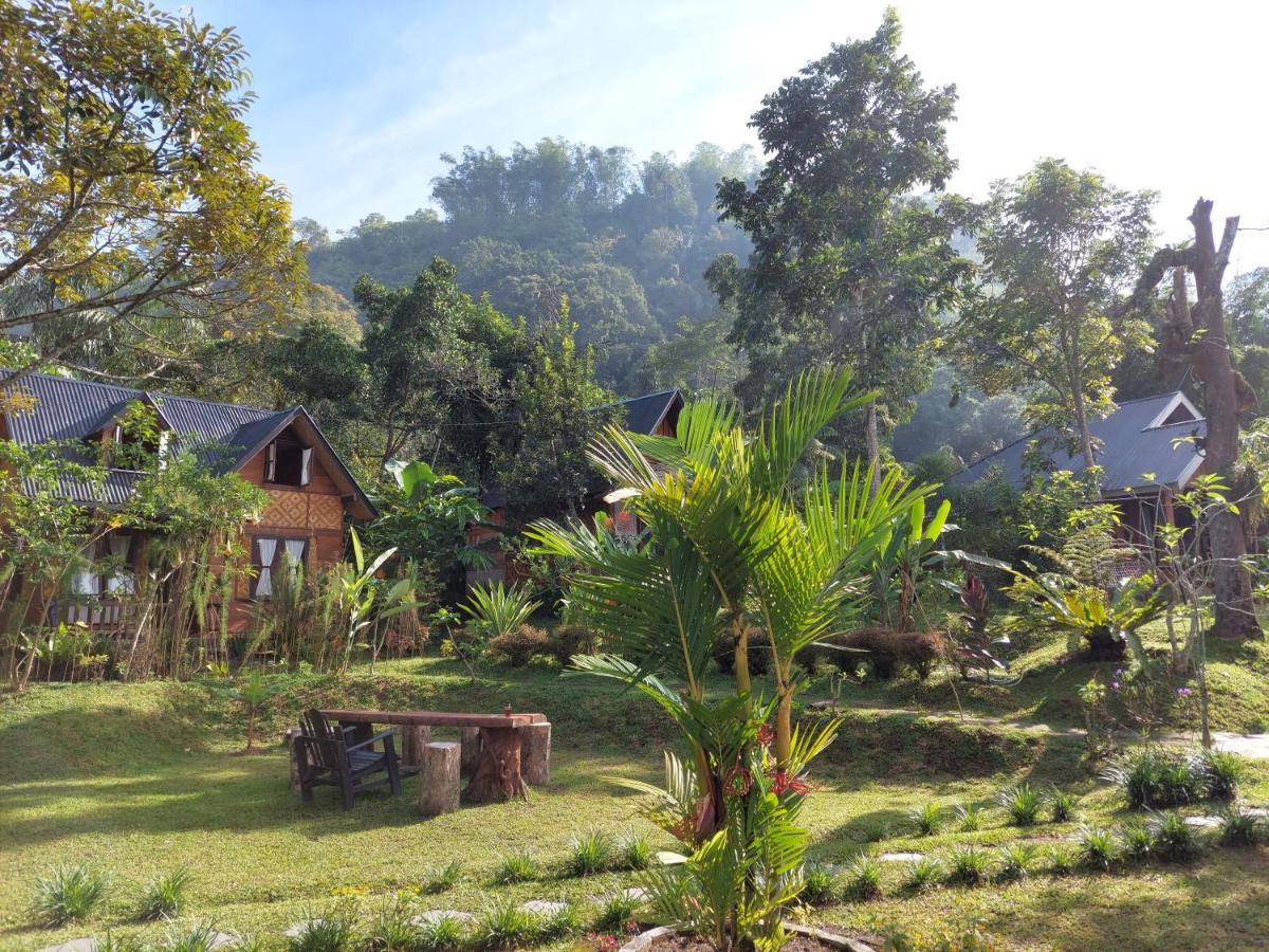 Canyon Jungle Stay Bukittinggi Exteriér fotografie
