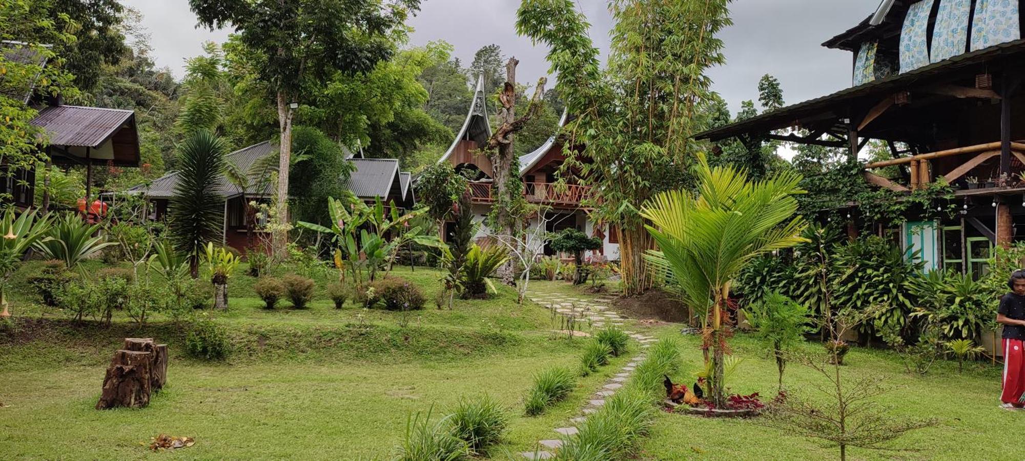 Canyon Jungle Stay Bukittinggi Exteriér fotografie