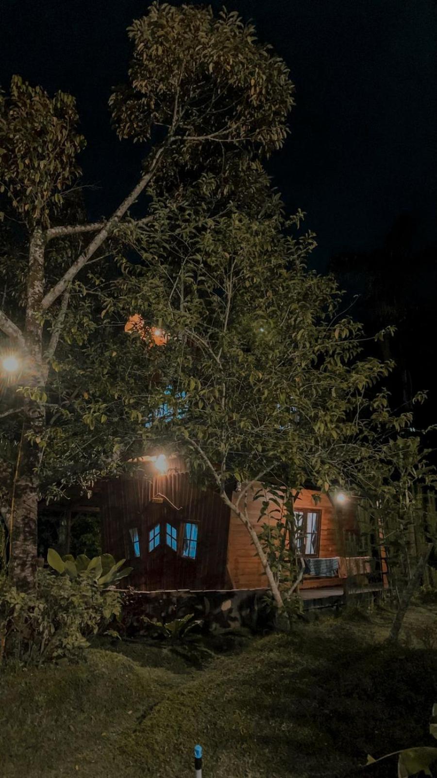 Canyon Jungle Stay Bukittinggi Pokoj fotografie