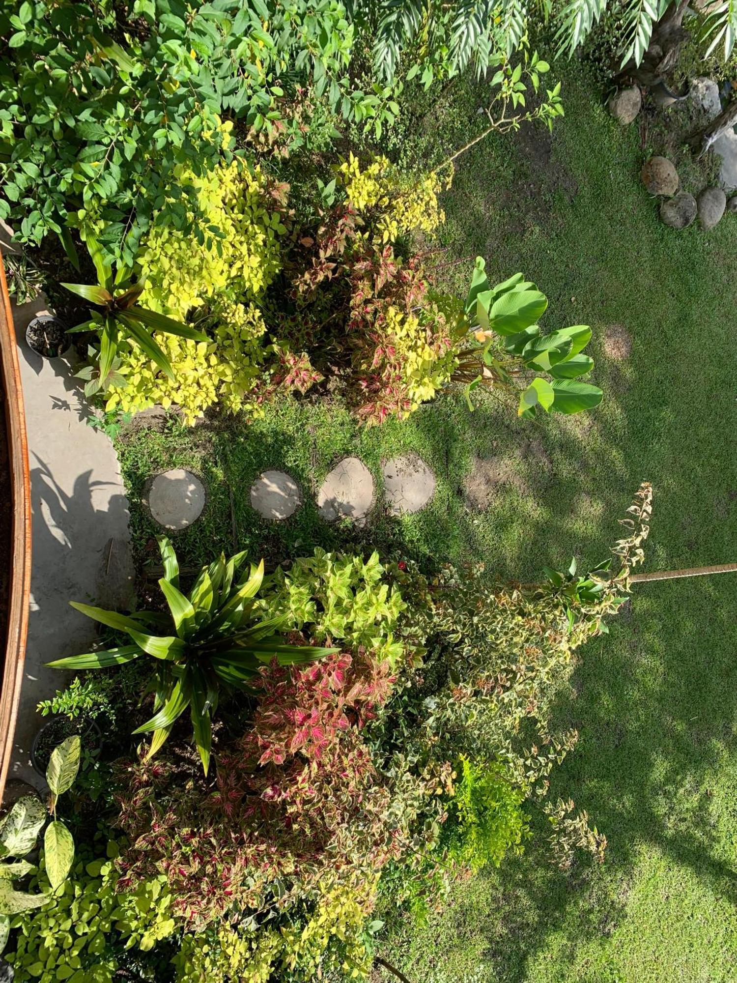 Canyon Jungle Stay Bukittinggi Exteriér fotografie